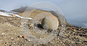 Mysterious stones of Champ Island in Arctic