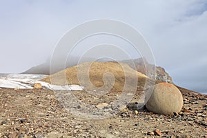 Mysterious stones of Champ Island in Arctic