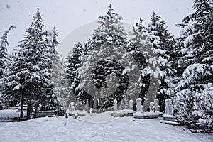 Mysterious texture of cemeteries with winter scenery and snowfall photo
