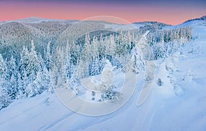 Mysterious winter landscape majestic mountains in . Magical snow covered tree. In anticipation of the holiday. Dramatic