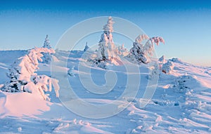 Mysterious winter landscape majestic mountains in winter. Magical winter snow covered tree. Winter road in the mountains