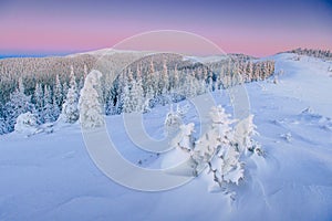 Mysterious winter landscape majestic mountains in winter. Magical winter snow covered tree. Winter road in the mountains