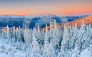 Mysterious winter landscape majestic mountains in winter. Magical winter snow covered tree. Winter road in the mountains