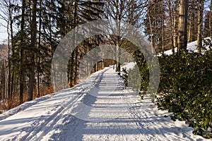 Mysterious winter landscape majestic mountains in winter. Magical winter snow covered tree. Winter road in the mountains. Dramat