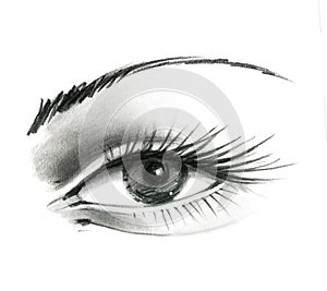 Mysteriously beautiful woman`s eye with delicately curved eyelashes and an eyebrow. Graphic drawing with slate pencil. Isolated on