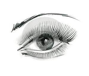 Mysteriously beautiful woman`s eye with delicately curved eyelashes and an eyebrow. Graphic drawing with slate pencil. Isolated on