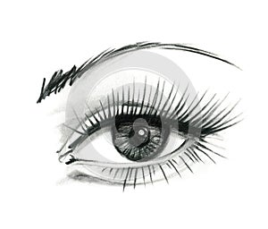 Mysteriously beautiful woman`s eye with delicately curved eyelashes and an eyebrow. Graphic drawing with slate pencil. Isolated o