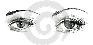 Mysteriously beautiful woman`s eye with delicately curved eyelashes and an eyebrow. Graphic drawing with slate pencil. Isolated o