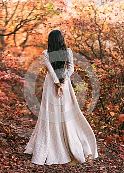 Mystery art portrait fantasy woman queen walking in gothic autumn forest, white vintage style dress. Girl princess long