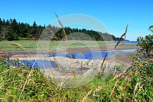 Mystery Bay, Marrowstone island. Olympic Peninsula. Washington State.