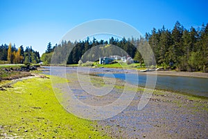 Mystery Bay, Marrowstone island. Olympic Peninsula. Washington State.