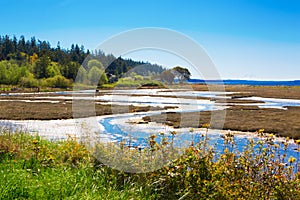 Mystery Bay, Marrowstone island. Olympic Peninsula. Washington State.