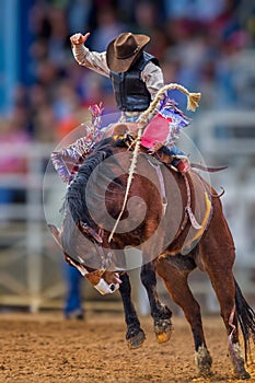 Mystery cowboy bucks on wild mustang in Florida Rodeo