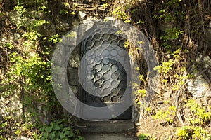 Mystery door in the forest