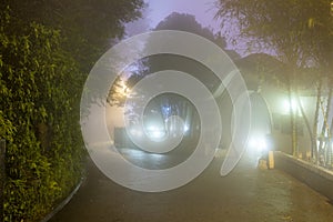 Mystery Fog in the asian park, Hong Kong