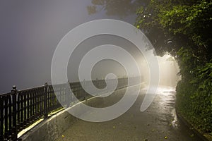 Mystery Fog in the dark park with way to light