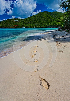 Mystery footprints in the sand in Hawksnest beach on the island of St. John photo