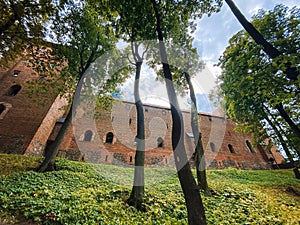 Mystery Forest in Poland, Crooked Forest Medieval Castle Landscape View Legend Tourism