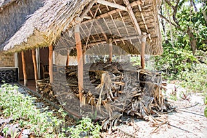 Grass Hut and Shelter on Mystery Island