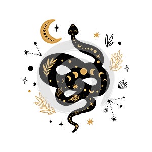 Mystic animal, moon floral serpent, celestial snake, mystical moon, stars isolated. Black gold colors