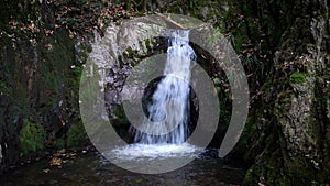 Mystic cascade waterfall in autumn surrounded with green mossy stones and orange leaves