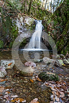 Mystic cascade waterfall in autumn surrounded with green mossy stones and orange leaves