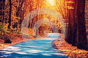 Mystic charming enchanting landscape with a road in the autumn f
