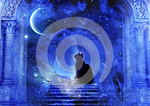 Mystic divine gate with stairs, cat, stars and a planet