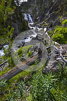 Mystic Falls Yellowstone National Park