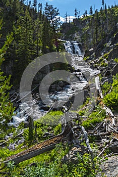 Mystic Falls Yellowstone National Park