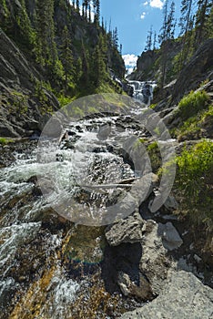 Mystic Falls Yellowstone National Park