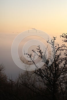 Mystic foggy landscape