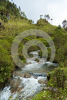 Mystic forest lagoon Magdalena in Huehuetenango, Guatemala