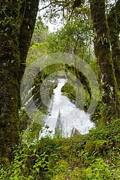 Mystic forest lagoon Magdalena in Huehuetenango, Guatemala