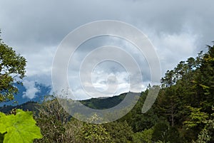 Mystic forest lagoon Magdalena in Huehuetenango, Guatemala