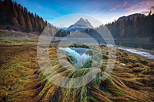 Mystic landscape with colored autumn grass and wooden bridge at