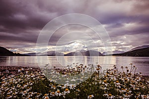 Mystic landscape lake scenery in Scotland: Cloudy sky, flowers and lake with sunbeams, mountain range in the background. Loch