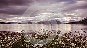 Mystic landscape lake scenery in Scotland: Cloudy sky, flowers and lake with sunbeams, mountain range in the background. Loch