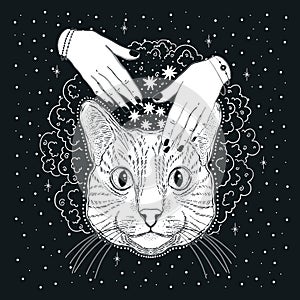 Mystic magic cat. Portrait face head hand drawn vintage style.Line art ink painting.Graphic design tatoo