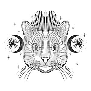 Mystic magic cat. Portrait face head hand drawn vintage style.Line art ink painting.Graphic design tatoo