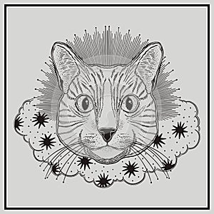 Mystic magic cat. Portrait face head hand drawn vintage style.Line art ink painting.Graphic design tatoo
