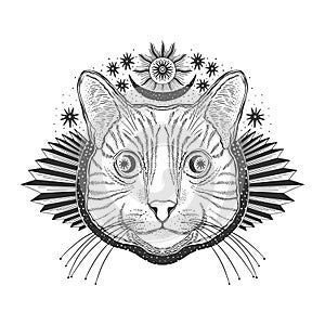 Mystic magic cat. Portrait face head hand drawn vintage style.Line art ink painting.Graphic design tatoo