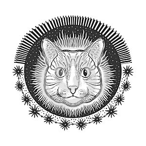 Mystic magic cat. Portrait face head hand drawn vintage style.Line art ink painting.Graphic design tatoo