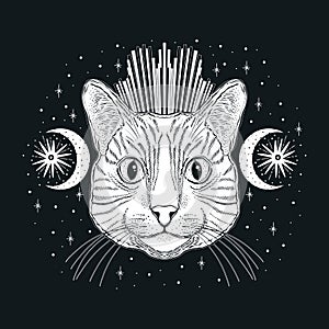 Mystic magic cat. Portrait face head hand drawn vintage style.Line art ink painting.Graphic design tatoo