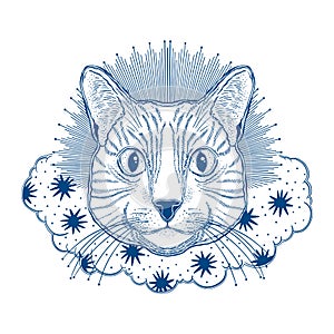 Mystic magic cat. Portrait face head hand drawn vintage style.Line art ink painting.Graphic design tatoo