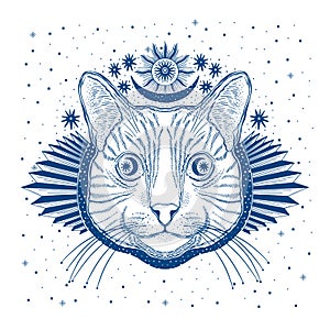 Mystic magic cat. Portrait face head hand drawn vintage style.Line art ink painting.Graphic design tatoo