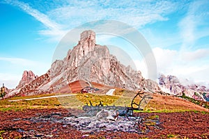 Mystic  magical fantastic autumn landscape with ash near a burned tree mountain on Passo Giau near S. Lucia in the Dolomites in