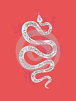 Mystic print snake with sakura flowers, vector illustration in trendy linear and silhouette minimal style.