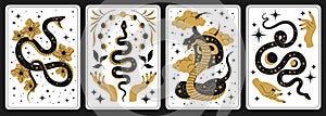 Mystic snakes symbols. Magic serpents with different occult symbols, spiritual elements, stars on skin, hands and