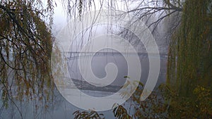 Mystic surrounding. A bridge in the park. Covered with fog and beauty photo